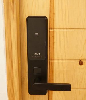 361948011_239139768963845_4517934106437989552_n