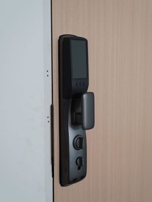 DSC00081