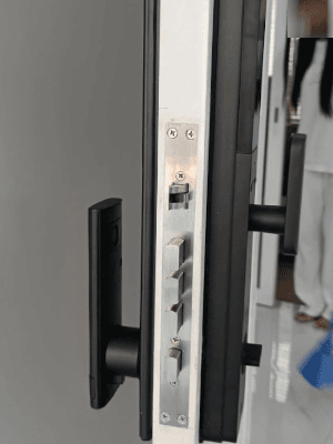 EN110 All in One Smart Lock